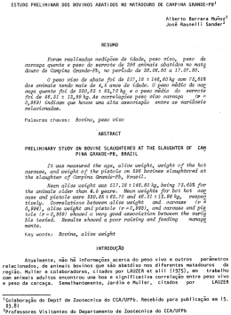 Arquivo em PDF