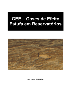 GEE &ndash; Gases de Efeito Estufa em Reservat&oacute;rios