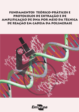 Fundamentos te&oacute;rico-pr&aacute;ticos e protocolos de extra&ccedil;&atilde;o e de