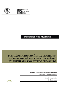 Disserta&ccedil;&atilde;o de Mestrado 2007