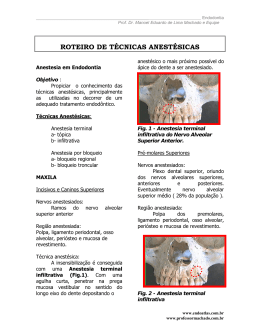 ROTEIRO DE T&Eacute;CNICAS ANEST&Eacute;SICAS