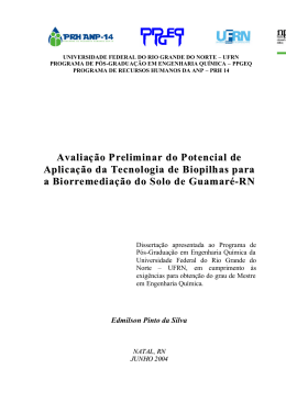 DISSERTA&Ccedil;&Atilde;O - Edimilson Pinto