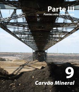 9 | Carv&atilde;o Mineral