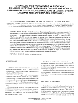 Completo (portugu&ecirc;s)