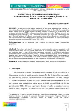 estruturas, estrat&eacute;gias de mercado e comercializa&ccedil;&atilde;o e fluxos de