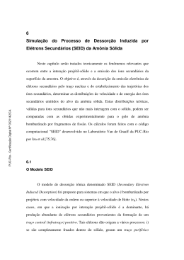 6 Simula&ccedil;&atilde;o do Processo de Dessor&ccedil;&atilde;o Induzida por El&eacute;trons