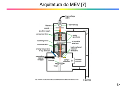Arquitetura do MEV [7]