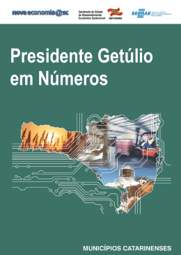 Presidente Getúlio em Números