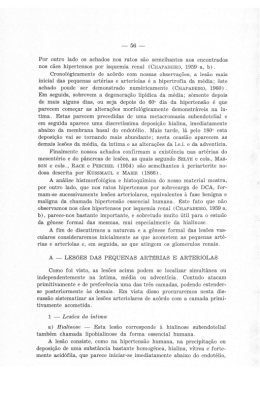 Por outro lado os achados nos ratos são semelhantes aos