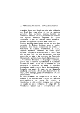 A an&aacute;lise desse novo Brasil, por outro lado, evidencia um