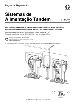 312730F - Tandem Supply Systems, Portuguese