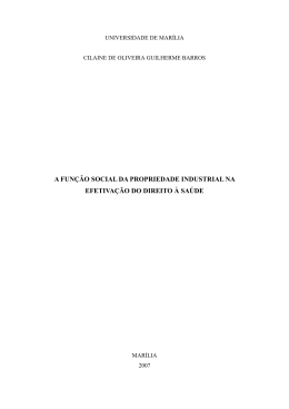 Texto na &Iacute;ntegra 0,9MB