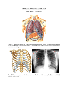 ANATOMIA DO T&Oacute;RAX POR IMAGEM Prof. Dante L. Escuissato