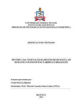 din&acirc;mica da vegeta&ccedil;&atilde;o da regi&atilde;o de humait&aacute;