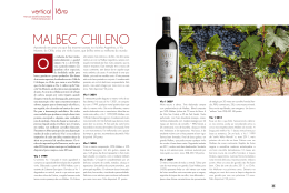 Malbec chileno - Viu Manent Winery