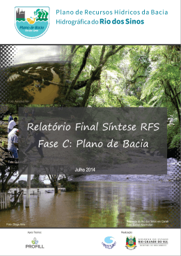 Relatório Final Síntese RFS Fase C: Plano de Bacia