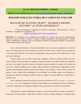 REESTRUTURAÇÃO VIÁRIA DO CAMPUS DA UNICAMP RINALDO