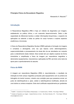 Princ&iacute;pios F&iacute;sicos em Resson&acirc;ncia Magn&eacute;tica