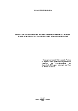 wilson gandini lug&atilde;o an&aacute;lise da ader&ecirc;ncia entre pneu e pavimento