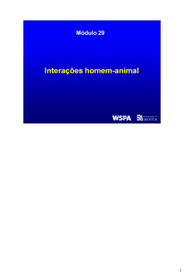 Intera&ccedil;&otilde;es homem-animal
