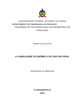 a viabilidade econ&ocirc;mica do g&aacute;s natural