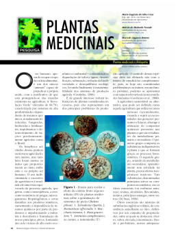 PLANTAS MEDICINAIS