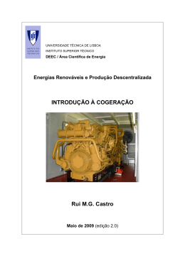 INTRODU&Ccedil;&Atilde;O &Agrave; COGERA&Ccedil;&Atilde;O Rui M.G. Castro