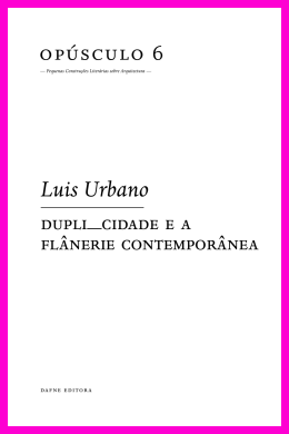 cidade e a fl&acirc;nerie contempor&acirc;nea