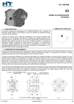 011-100-R00 - HT-Hidrautrônica Sistemas Hidráulicos LTDA