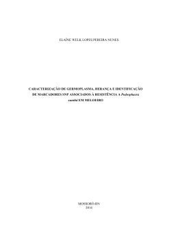 elaine welk lopes pereira nunes - Programa de P&oacute;s