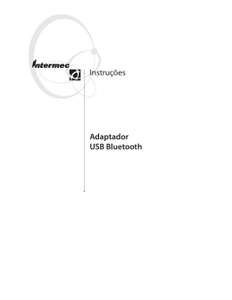 Instru&ccedil;&otilde;es para uso do adaptador USB Bluetooth
