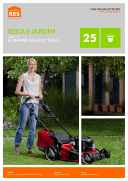 pot&ecirc;ncia do motor