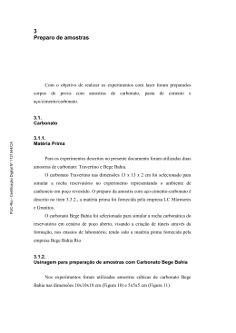 3 Preparo de amostras