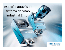 Inspeção através de sistema de visão industrial Ergon