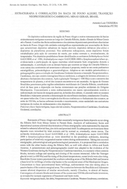 ESTRATIGRAFIA E CORRELA&Ccedil;&Otilde;ES DA BACIA DE POUSO
