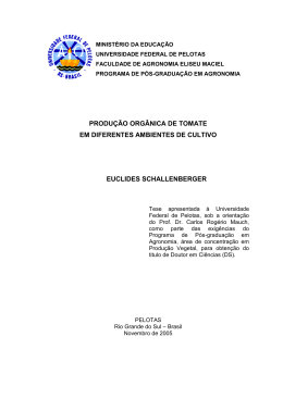 produ&ccedil;&atilde;o org&acirc;nica de tomate em diferentes ambientes de cultivo