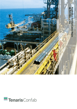 Produtos e Serviços para Poços de Petróleo e Gás