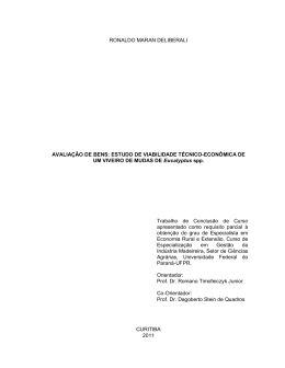 E - RONALDO MARAN DELIBERALI - UFPR