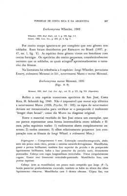 Por muito tempo ignorava-se por completo que este