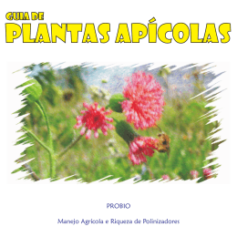 PLANTAS AP&Iacute;COLAS