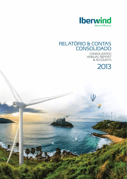 1 Relat&oacute;Rio & contas consolidado 2013