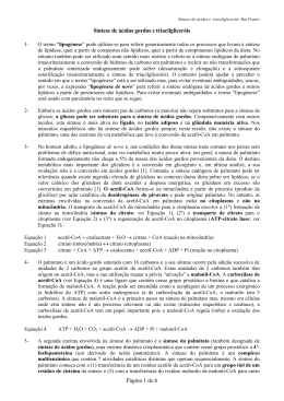 S&iacute;ntese de &aacute;cidos gordos e triacilglicer&oacute;is