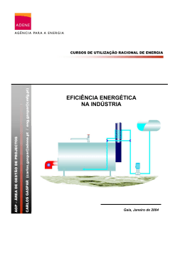 EFICI&Ecirc;NCIA ENERG&Eacute;TICA NA IND&Uacute;STRIA