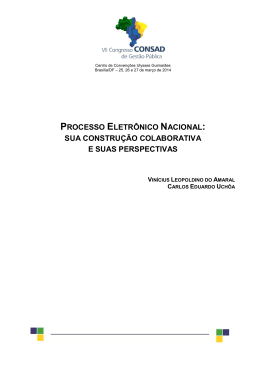PROCESSO ELETR&Ocirc;NICO NACIONAL: SUA CONSTRU&Ccedil;&Atilde;O