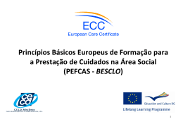 sicos Europeus de Forma&Atilde;&sect;&Atilde;&pound;o para a Presta&Atilde;&sect;&Atilde;&pound;o de Cuidados na