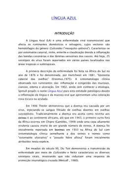 Documento - PDF
