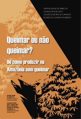Queimar ou n&atilde;o queimar? - Instituto Terra Brasilis