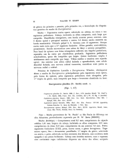 de g&ecirc;nero do primeiro e permite, pela primeira vez, a