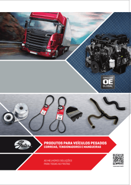 PRODUTOS PARA VE&Iacute;CULOS PESADOS