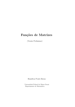 Fun&ccedil;&tilde;oes de Matrizes - Nicolau Cor&ccedil;&atilde;o Saldanha